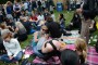 Thumbs/tn_Werfpop 2015 230.jpg